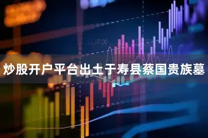 炒股开户平台出土于寿县蔡国贵族墓