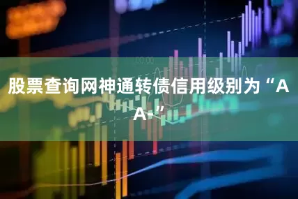 股票查询网神通转债信用级别为“AA-”